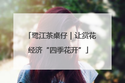 鹭江茶桌仔｜让赏花经济“四季花开”