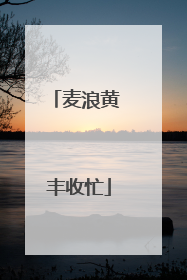 麦浪黄 丰收忙