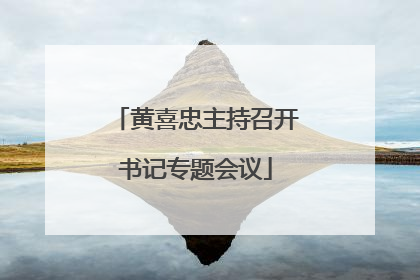 黄喜忠主持召开书记专题会议