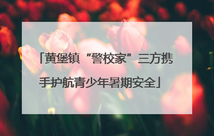黄堡镇“警校家”三方携手护航青少年暑期安全