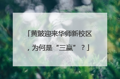 黄陂迎来华师新校区，为何是“三赢”？