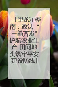 黑龙江桦南：政法“三箭齐发”护航农业生产 田间地头筑牢平安建设防线