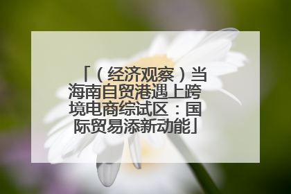 （经济观察）当海南自贸港遇上跨境电商综试区：国际贸易添新动能