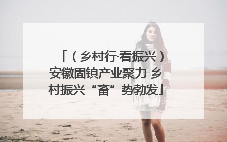 （乡村行·看振兴）安徽固镇产业聚力 乡村振兴“畜”势勃发