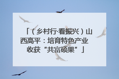 （乡村行·看振兴）山西高平：培育特色产业 收获“共富硕果”
