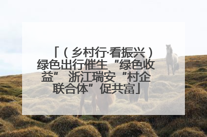 （乡村行·看振兴）绿色出行催生“绿色收益” 浙江瑞安“村企联合体”促共富