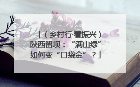 （乡村行·看振兴）陕西留坝：“满山绿”如何变“口袋金”？