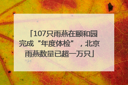 107只雨燕在颐和园完成“年度体检”，北京雨燕数量已超一万只
