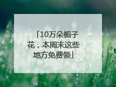 10万朵栀子花，本周末这些地方免费领