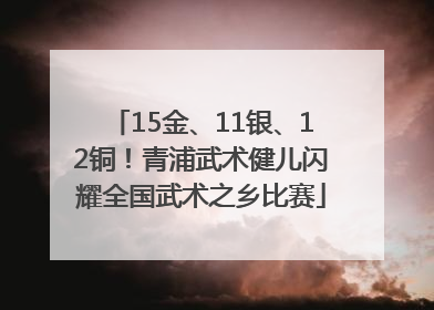 15金、11银、12铜！青浦武术健儿闪耀全国武术之乡比赛