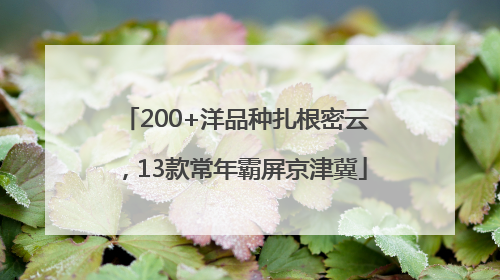 200+洋品种扎根密云，13款常年霸屏京津冀