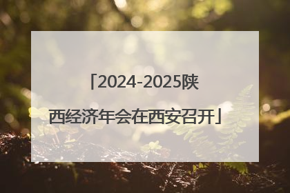 2024-2025陕西经济年会在西安召开