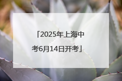 2025年上海中考6月14日开考