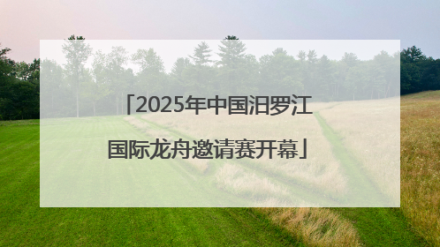 2025年中国汨罗江国际龙舟邀请赛开幕