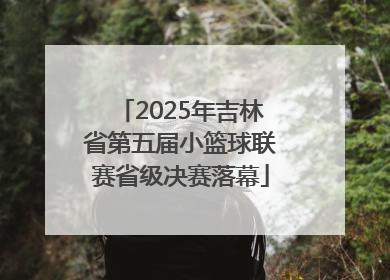 2025年吉林省第五届小篮球联赛省级决赛落幕
