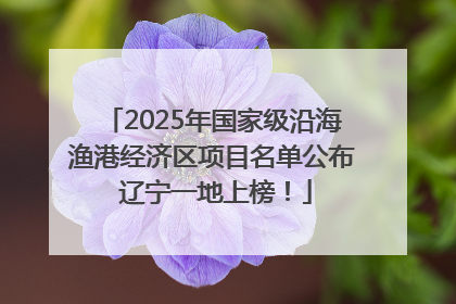 2025年国家级沿海渔港经济区项目名单公布 辽宁一地上榜！