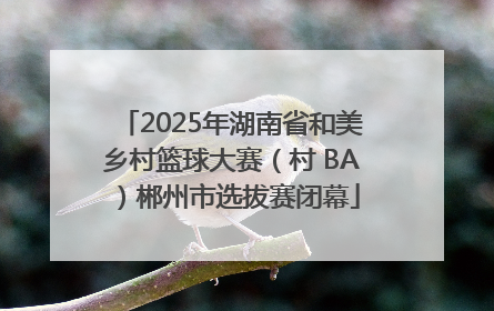 2025年湖南省和美乡村篮球大赛（村 BA）郴州市选拔赛闭幕