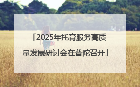 2025年托育服务高质量发展研讨会在普陀召开