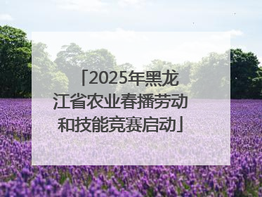 2025年黑龙江省农业春播劳动和技能竞赛启动