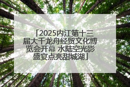 2025内江第十三届大千龙舟经贸文化博览会开幕 水陆空光影盛宴点亮甜城湖