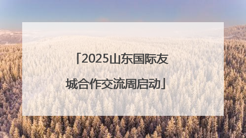 2025山东国际友城合作交流周启动