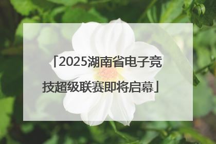 2025湖南省电子竞技超级联赛即将启幕