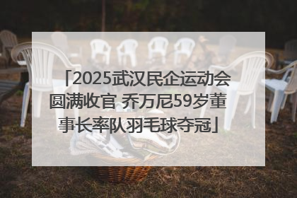 2025武汉民企运动会圆满收官 乔万尼59岁董事长率队羽毛球夺冠