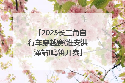 2025长三角自行车穿越赛(淮安洪泽站)鸣笛开赛