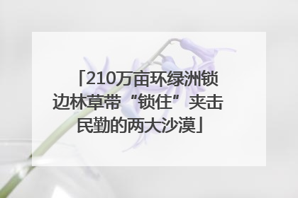 210万亩环绿洲锁边林草带“锁住”夹击民勤的两大沙漠