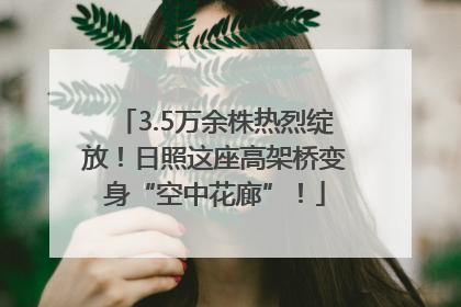 3.5万余株热烈绽放！日照这座高架桥变身“空中花廊”！