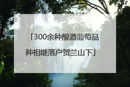 300余种酿酒葡萄品种相继落户贺兰山下