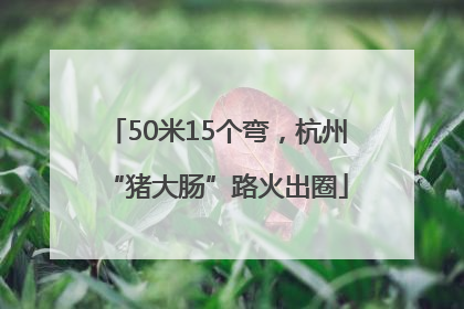 50米15个弯，杭州“猪大肠”路火出圈