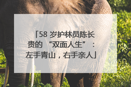 58 岁护林员陈长贵的 “双面人生”：左手青山，右手亲人