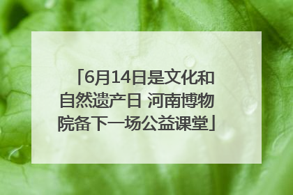 6月14日是文化和自然遗产日 河南博物院备下一场公益课堂