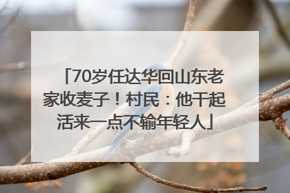70岁任达华回山东老家收麦子！村民：他干起活来一点不输年轻人