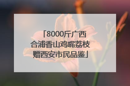 8000斤广西合浦香山鸡嘴荔枝赠西安市民品鉴