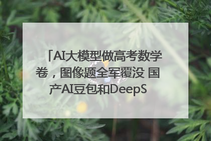 AI大模型做高考数学卷，图像题全军覆没 国产AI豆包和DeepSeek均得分144