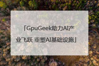 GpuGeek助力AI产业飞跃 重塑AI基础设施