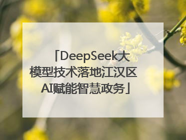 DeepSeek大模型技术落地江汉区 AI赋能智慧政务