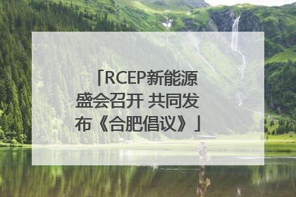 RCEP新能源盛会召开 共同发布《合肥倡议》