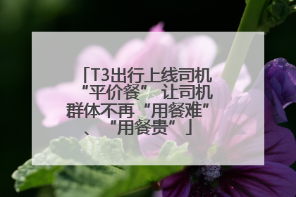 T3出行上线司机“平价餐” 让司机群体不再“用餐难”、“用餐贵”